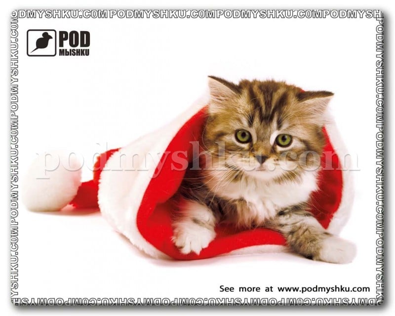Коврик для мыши Podmyshku Кот в колпаке