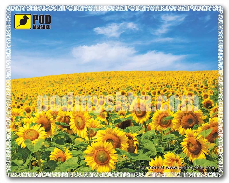 Килимок для миші Podmyshku Соняшники