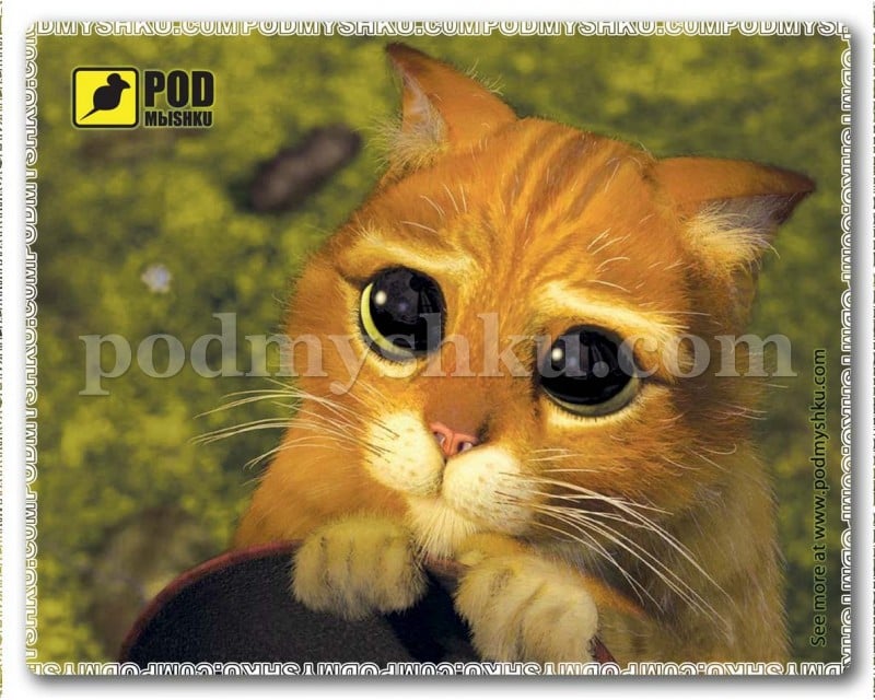 Килимок для миші Podmyshku Котик