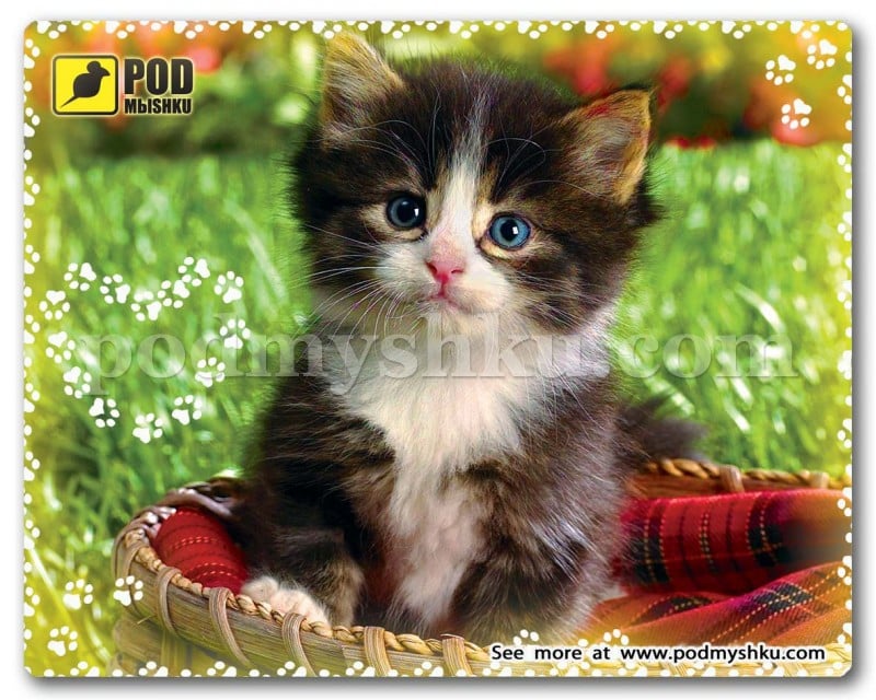 Килимок для миші Podmyshku Кошеня у кошику